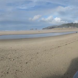 Meet your Posher, Tyson